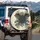 Majestic Bat Roses Thorny Vines Gothic Scrolls - Bat Lover Vehicle Decor Gift Spare Tire Cover - 3