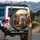 Happy Fawn French Bulldog & Diverse French Bulldogs Car Ride - Dog Lover Travel Gift Spare Tire Cover - 3