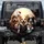 Happy Dogs Wearing Hats Group Portrait with Corgi - Adventure Dog Lover Gift Spare Tire Cover - 1