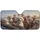 duiyfppz/products/6a02b905a29d994a7ebc001f/gallery/oMvkugn5NW