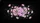 duiyfppz/products/6a02c05b5312a28064cbf977/gallery/KMsoHEU6w6