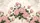 duiyfppz/products/6a02c48d34b93bcaf6e25df4/gallery/MqbMr08ToL
