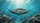 Manta Ray Underwater Coral Reef Sunlight - Wildlife Lover Car Interior Upgrade Car Sunshade - 7