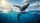 Breaching Humpback Whale Paddleboarder Sunburst Ocean Scenery - Car Interior Upgrade Car Sunshade - 7