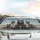 Gathering of Realistic Raccoons Driving Under Clouds - Road Trip Car Interior Upgrade Car Sunshade - 5