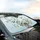 Songbirds Butterflies Dragonflies Delicate Flowers Branches - Car Interior Upgrade Car Sunshade - 6