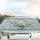 Songbirds Butterflies Dragonflies Delicate Flowers Branches - Car Interior Upgrade Car Sunshade - 5