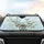 Songbirds Butterflies Dragonflies Delicate Flowers Branches - Car Interior Upgrade Car Sunshade - 4