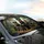 Rottweiler Dogs Puppies Forest Scene - Car Interior Upgrade Dog Lover Gift Car Sunshade - 6
