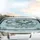 Alligators Crocodiles Tropical Swamp Wetland - Car Interior Upgrade Wildlife Lover Gift Car Sunshade - 5
