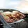 Highland Cow Floral Wreath Pastoral Scene - Road Trip Gift for Cow Lovers Car Sunshade - 6