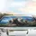 Realistic Ferrets Coastal Ocean Mountains - Road Trip Gift for Ferret Lover Car Sunshade - 5