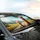 Alpacas Road Trip Green Hills Highway - Travel Essentials for Alpaca Lover Car Sunshade - 6