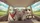 Sheep Countryside Road Trip - Travel Essentials Car Interior Upgrade Car Sunshade - 7