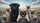 Pugs Steering Wheel Open Road Journey - Road Trip Travel Essentials for Pug Lovers Car Sunshade - 7