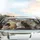 Multitude of Domestic Cats Car Interior Upgrade for Cat Lovers Car Sunshade - 5