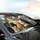 Multitude of Domestic Cats Car Interior Upgrade for Cat Lovers Car Sunshade - 6