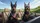 Doberman American Flag Goggles - Road Trip Gift Car Interior Upgrade Car Sunshade - 7
