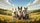 Four Bull Terriers Countryside Adventure – Road Trip Gift for Dog Lover Car Sunshade - 7