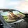 Four Realistic Rabbits Driving Car Road Trip Adventure - Car Interior Upgrade Car Sunshade - 6