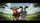 Brown Holstein Cows Driving - Open Road Travel Gift for Cow Lovers Car Sunshade - 7
