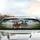 Brown Holstein Cows Driving - Open Road Travel Gift for Cow Lovers Car Sunshade - 5