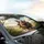 Hippos Driving Road Trip - Commute Accessory Travel Essentials Car Sunshade - 6