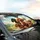 Joyful Poodles Driving Road Trip Landscape - Poodle Lover Car Interior Upgrade Car Sunshade - 6