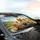 Pomeranian Dogs Driving Green Hills - Road Trip Gift for Dog Lover Car Sunshade - 6