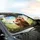 Adventurous Guinea Pigs Fantasy Landscape - Road Trip Gift for Guinea Pig Lovers Car Sunshade - 6