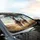 Realistic Donkey Herd Sun-Drenched Plain - Road Trip Gift for Animal Lover Car Sunshade - 6