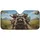duiyfppz/products/6a034d771e9e21e17fc58e9e/gallery/kWHuhQV0F8