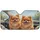 duiyfppz/products/6a03582383ebb19408256e8e/gallery/D4riu6hrM6