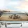 Charismatic Meerkats Desert Savanna Adventure Charmedville Car Interior Upgrade Car Sunshade - 5
