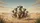 Charismatic Meerkats Desert Savanna Adventure Charmedville Car Interior Upgrade Car Sunshade - 7
