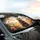 Baby Pygmy Hippo Tropical Savannah Scenery - Car Interior Upgrade for Pygmy Hippo Lover Car Sunshade - 6