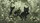 Charmedville Black Cats Botanical Garden Car Interior Upgrade - Cat Lover Gift Car Sunshade - 7