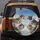 Curious Calico Tabby Ginger Cats - Cat Lover Everyday Use Gift Spare Tire Cover - 5
