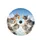 Curious Calico Tabby Ginger Cats - Cat Lover Everyday Use Gift Spare Tire Cover - 4