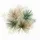 Tropical Palm Fronds Foliage - Botanical Nature Lover Gift Spare Tire Cover - 6