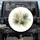 Tropical Palm Fronds Foliage - Botanical Nature Lover Gift Spare Tire Cover - 1