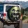 Three Panda Bears Fedoras Aviator Sunglasses Bamboo Forest Dappled Sun - Wildlife Lover Gift Spare Tire Cover - 3