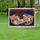 duiyfppz/products/6a045c1083ebb181e726a594/gallery/7qV-Fv0u39