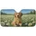 duiyfppz/products/6a045c51dfc8d83c355c8f7a/gallery/WFuQrFXuLP
