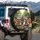 Happy Dogs Driving Sunglasses Macaw RV Scene - Outdoor Road Trip Travel Gift Spare Tire Cover - 3