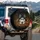 Majestic Siberian Husky Black White Fur Blue Eyes Golden Orange Autumn Leaves - Nature Lover Gift Spare Tire Cover - 3