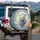 Majestic White Lion Vibrant Rainbow Mane Shimmering Light Trails - Wildlife Lover Gift Spare Tire Cover - 3