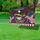 duiyfppz/products/6a045e75e5eb82d2bafc8527/gallery/uX1CX-Fh6N