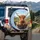 Highland Cow Scottish Countryside Plaid Wheel - Farmhouse Decor Gift for Cow Lover Spare Tire Cover - 3