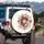 Full Bloom Red Pink Roses Green Foliage Berries Leafy Tendrils - Everyday Lifestyle Spare Tire Cover - 3